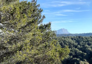 Tour Wandern Le Tholonet - Le tholonet - Photo