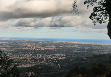 Percorso Marcia Laroque-des-Albères - mata pors - Photo