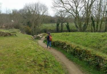 Trail Walking Créhen - St Jacut - île Ebihens - Photo