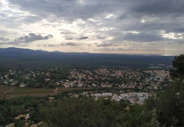 Trail Walking Roquebrune-sur-Argens - bouverie collet redon - Photo