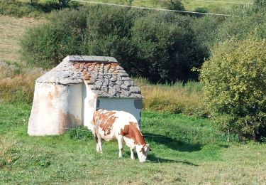 Tocht Wegfiets Le Vernet-Sainte-Marguerite - ontain  - Photo