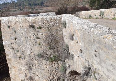 Randonnée Marche Flassans-sur-Issole - flassans sur Issole - Photo