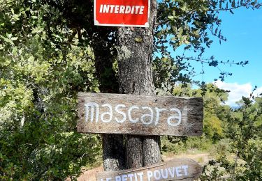 Tour Wandern Sillans-la-Cascade - 20201014 Fox-Amphoux 2 - Photo