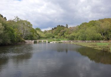Trail Walking Brech - PR_56_Brech_BA_02_Les-2-Moulins_Circuit4a_20210502 - Photo