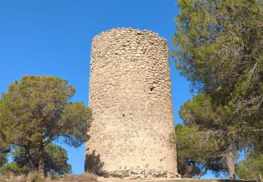 Trail Walking Antequera - Antequera - Photo