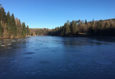 Tour Zu Fuß Kaisersbach - Roter Strich - Photo