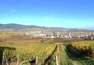 Percorso Marcia Wintzenheim - Chateaux et vignoble - Photo