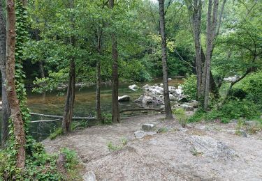 Randonnée Marche nordique La Colle-sur-Loup - le long du Loup  - Photo