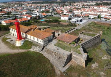 Trail On foot Esposende, Marinhas e Gandra - Caminho dos Mareantes - Photo