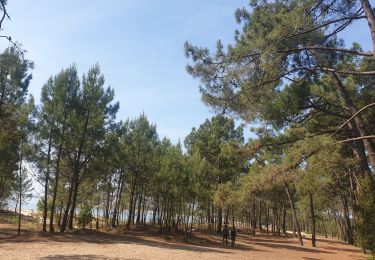 Tour Wandern Le Grand-Village-Plage - oléron mercredi  - Photo