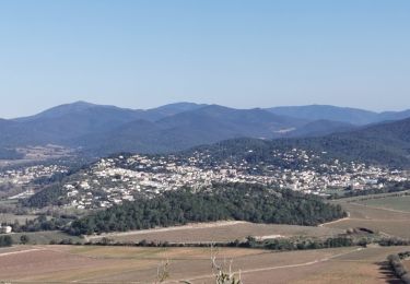 Excursión Senderismo La Crau - La Navarre - Photo