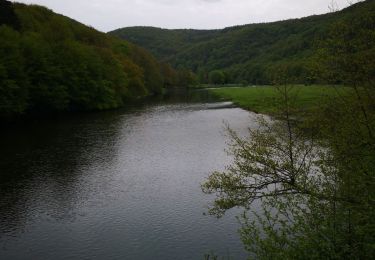 Excursión Senderismo Tournavaux - la plaine de tournavaux - Photo