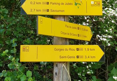Trail Walking Savournon - Reco Jubeo + 250 - Photo