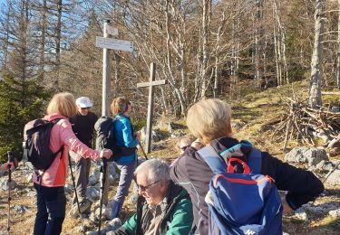 Percorso Marcia Les Rousses - les Rousses  roches blanches - Photo