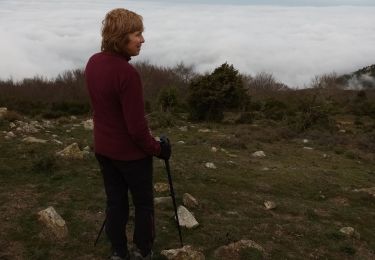 Tour Wandern Montesquieu-des-Albères - saint jean d 'alberes  - Photo