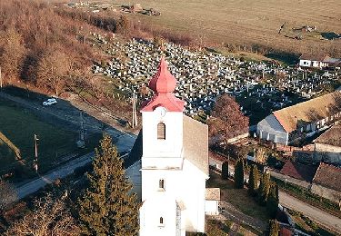 Percorso A piedi Szokolya - Z+ (Száraz Fák - Szokolya) - Photo