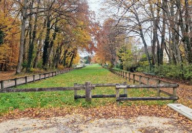 Tour Zu Fuß Fontainebleau - Sur les traces de Rosa Bonheur - Thomery - Photo