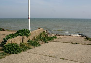 Tour Zu Fuß Rochford - The Broomway - Photo