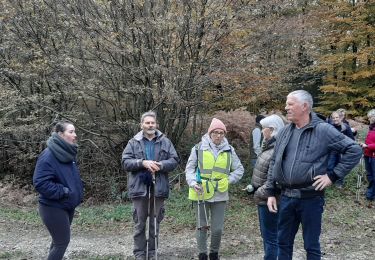 Tocht Stappen Arelaune-en-Seine - FORET BROTONNE - Photo