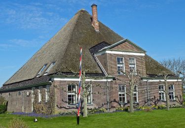 Tocht Te voet Beemster - Hogedijkroute - Photo