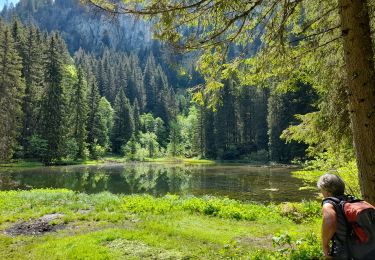 Trail Walking Mieussy - CHABLAIS: TOUR DE LA POINTE DE CHALUNE - Photo