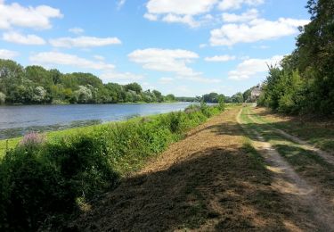 Tocht Stappen Rivière - Rivière (s Chinon) - 13km 115m 3h10 - 2017 07 14 - Photo