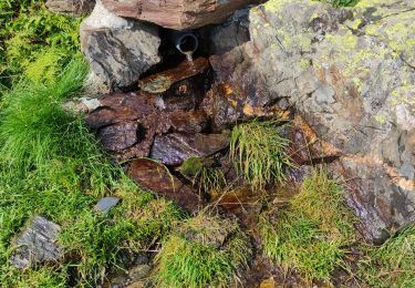 Trail Walking Naut Aran - port d'urets-pic de l'homme-eylie - Photo