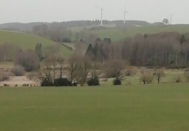 Tocht Stappen Peyrelevade - Fred tourbière de negarioux malsagne - Photo