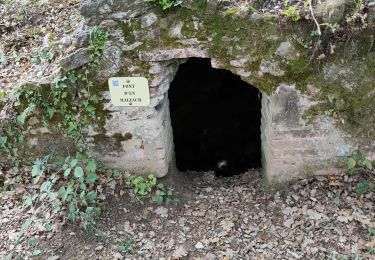 Randonnée Marche Laroque-des-Albères - Laroque  des Albères 1022 - Photo