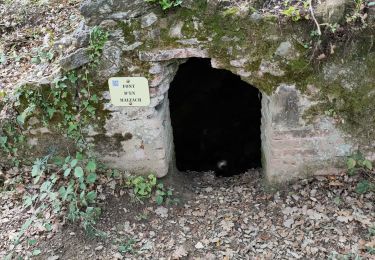 Excursión Senderismo Laroque-des-Albères - Laroque  des Albères 1022 - Photo