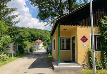 Excursión A pie Gemeinde Hardegg - Thayatalweg - Variante Umlaufberg - Photo