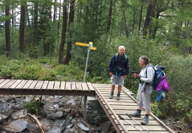 Trail Walking La Thuile - Le glacier ruitor - Photo