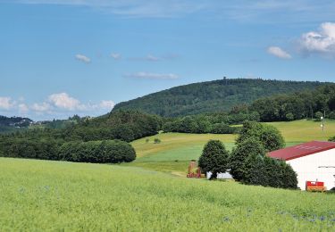 Excursión A pie Weilrod - Rundweg Mauloff-Finsterthal-Riedelbach - Photo