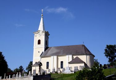 Percorso A piedi Gemeinde Pilgersdorf - Entenstein - Tafeleiche - Streitwiese - Fernblick Karl Rundwanderweg - Photo