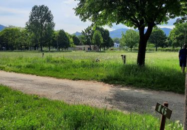 Tour Elektrofahrrad Avèze - Andrea Cléa - Photo