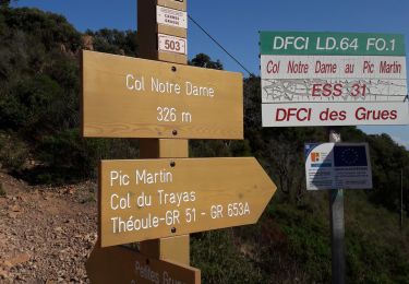 Randonnée Marche Saint-Raphaël - Agay - Dent et Pic de l'Ours - Photo