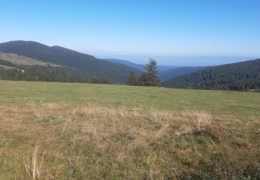 Tocht Wegfiets Gérardmer - Gerardmer Markstein - Photo