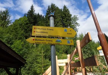 Tocht Te voet Mühlbach am Hochkönig - Mühlbach-Brennerköpfl - Photo