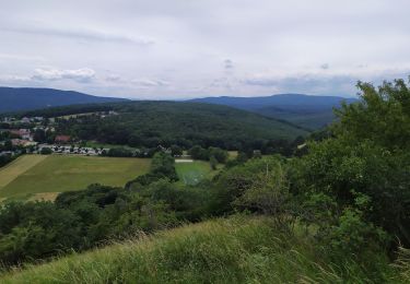 Trail Walking Gemeinde Gießhübl - Giesshubl - Photo