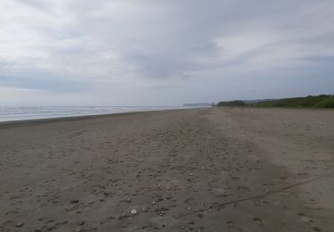 Tocht Stappen Parroquia Salango - Playa de Ayampe - Photo