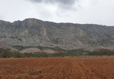 Trail Walking Saint-Antonin-sur-Bayon - ste victoire.  cricri. moi - Photo