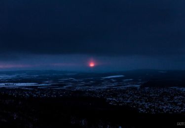 Percorso A piedi Nagykovácsi - S+ (János-hegy, Libegő állomás - Budakeszi Vadaspark - z+) - Photo