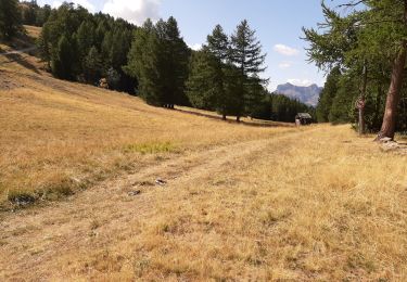 Tocht Stappen Uvernet-Fours - Pra-Loup - Le clos du Serre - Photo