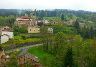 Excursión A pie Auzelles - La Croix de Pradier - Photo