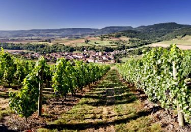 Percorso Marcia Villeneuve - Villeneuve_Chateaux_Bacchus - Photo