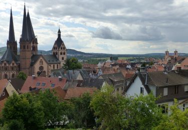 Percorso A piedi Gelnhausen - Kulturweg Gelnhausen 4 - Photo