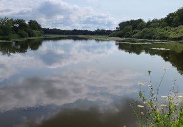 Trail Walking Giffaumont-Champaubert - Le Der du 24-07-2024 les étangs d'Outines - Photo