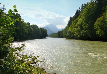 Tour Zu Fuß Piding - Staufenbrücke-Fuderheuberg - Photo