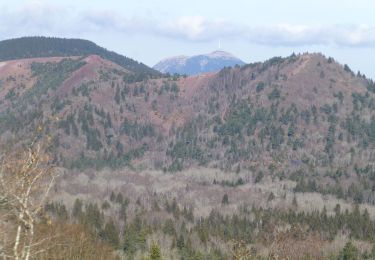 Percorso Marcia Aydat - puy de Vichatel - Photo