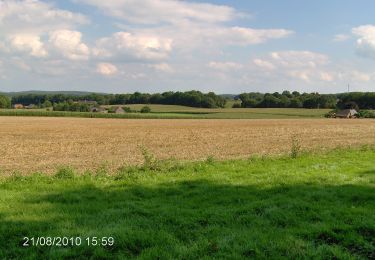 Tocht Te voet Uedem - Uedemer Hochwald - Rundwanderweg Dreieck - Photo